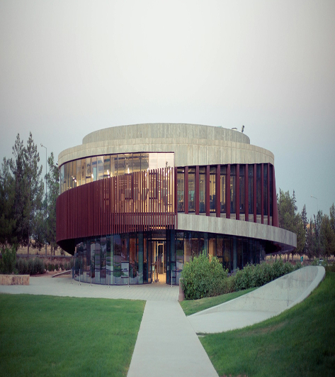 university